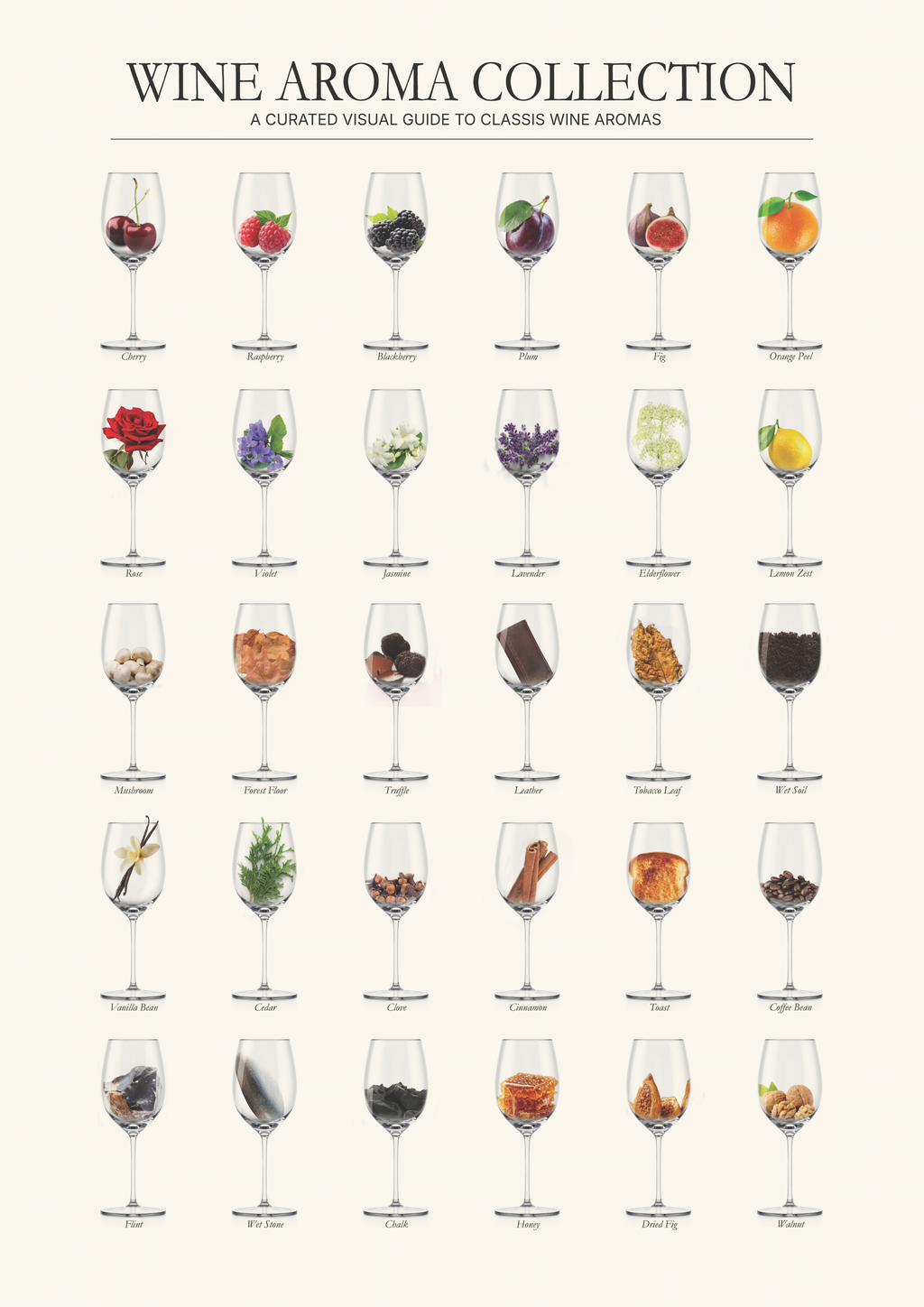 Wine Aroma Collection Poster – Illustrated Wine Tasting Chart