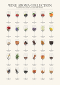 Wine Aroma Collection Poster – Illustrated Wine Tasting Chart
