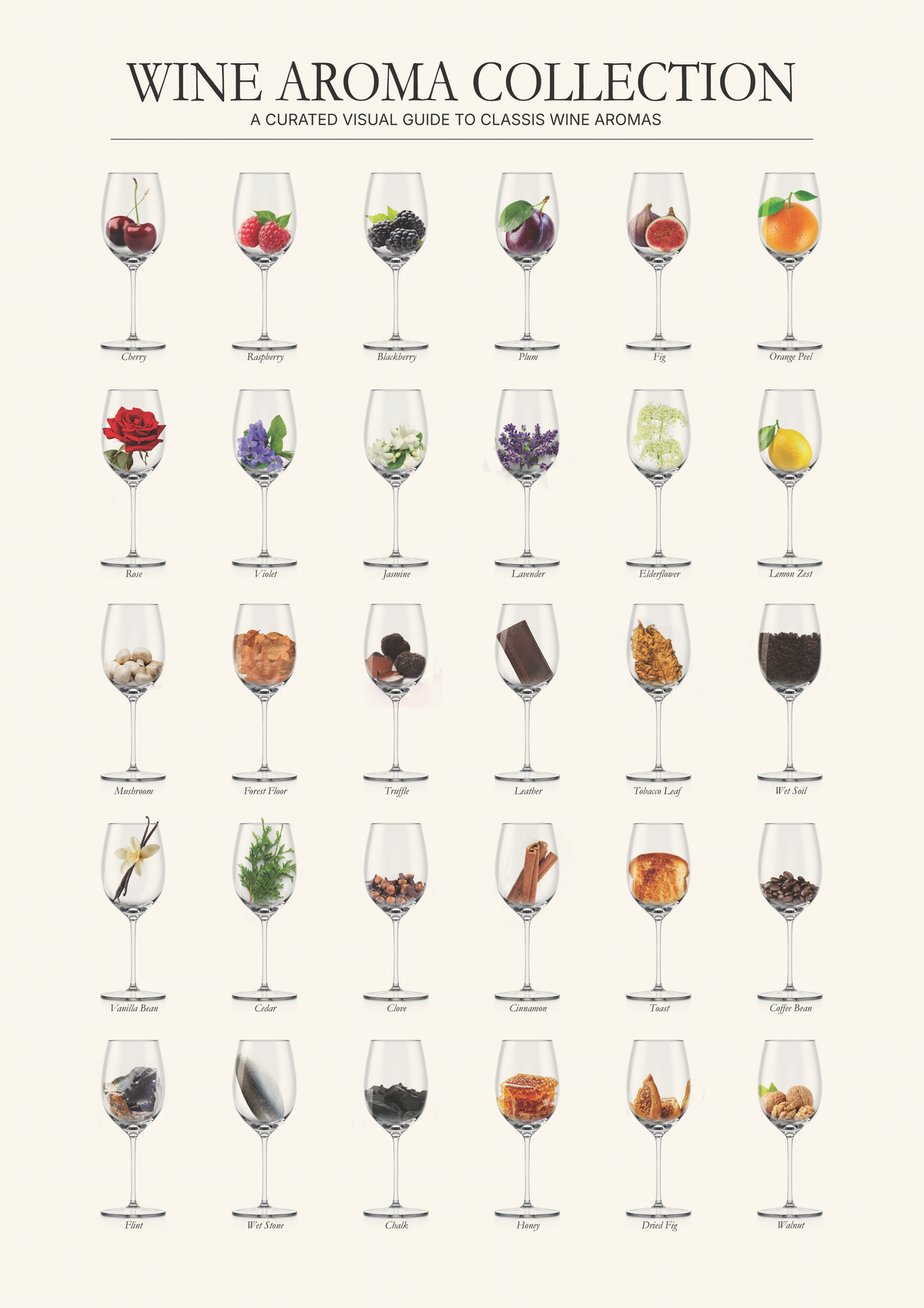 Wine Aroma Collection Poster – Illustrated Wine Tasting Chart