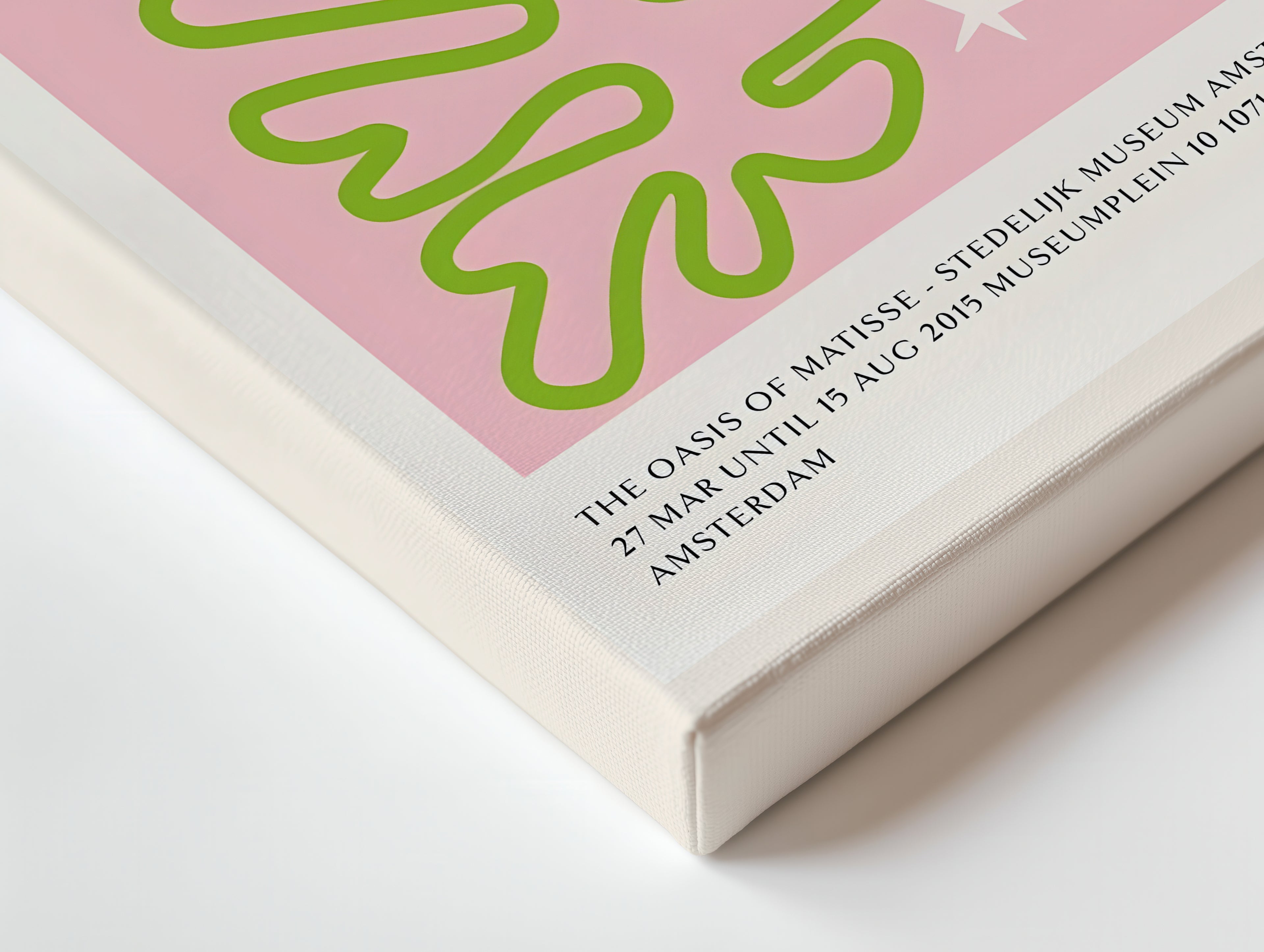 Matisse Botanical Print Canvas — Pink & Green Modern Art Wall Decor